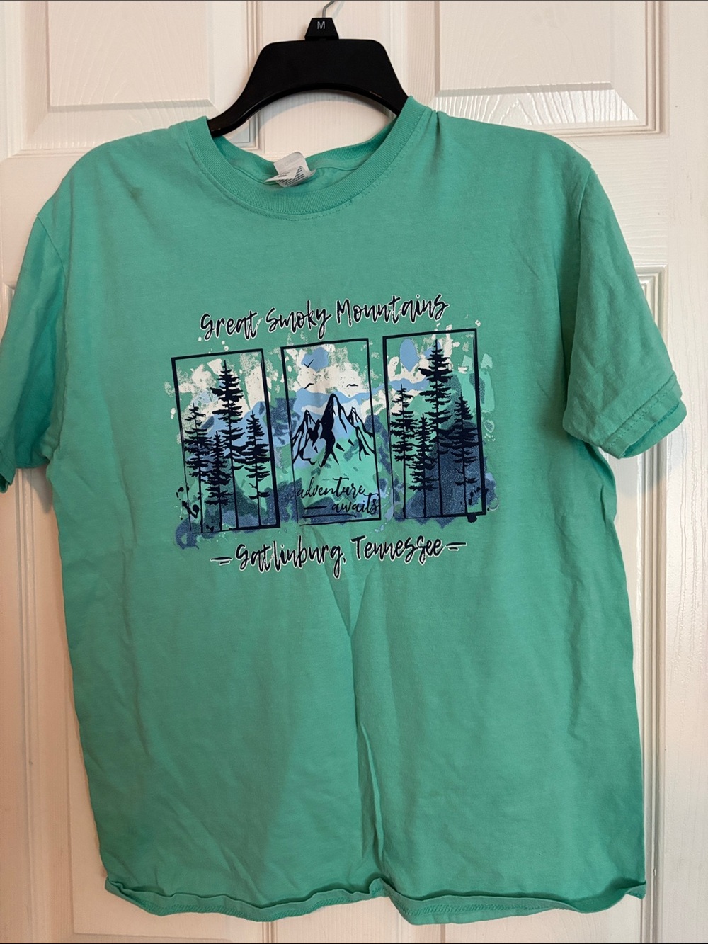 Great Smoky Mountains Graphic Tee - Mint Green